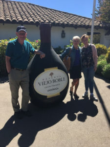 Maipo Valley Wine Tours