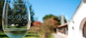 Undurraga Vineyard Tour