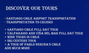 Concha y Toro Wine Tour